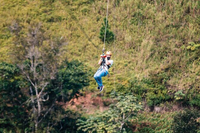Zipline Adventure Tour - Overview of the Zipline Experience