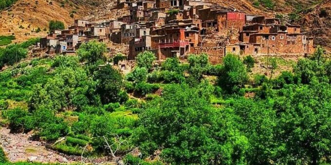 Zipline and Camel Adventures in Marrakech - Customer Testimonials and Ratings