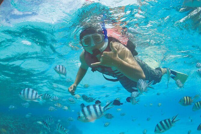 Zipline + Beach Package - What Travelers Should Know