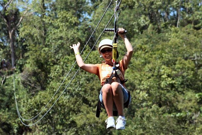 Zipline Canopy & Dunn's River Falls Guided Tour with Admission from Falmouth - Key Points