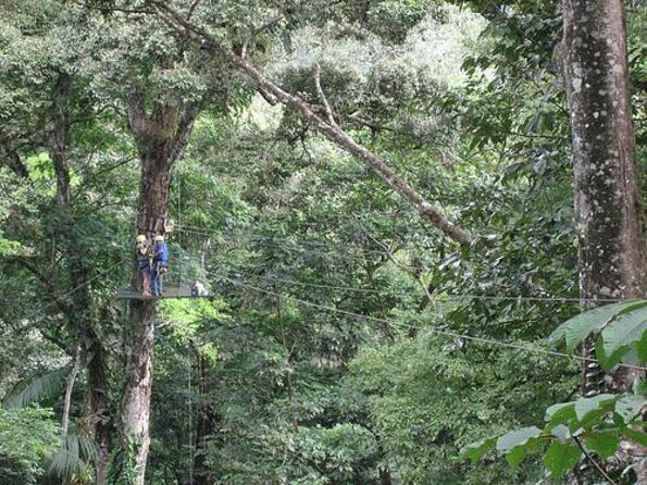 Zipline Canopy & Whitewater Rafting Tour. Private Tour From San Jose - Good To Know