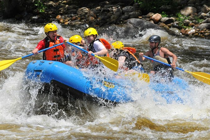 Zipline Canopy & Whitewater Rafting Tour. Private Tour From San Jose - Natural Surroundings