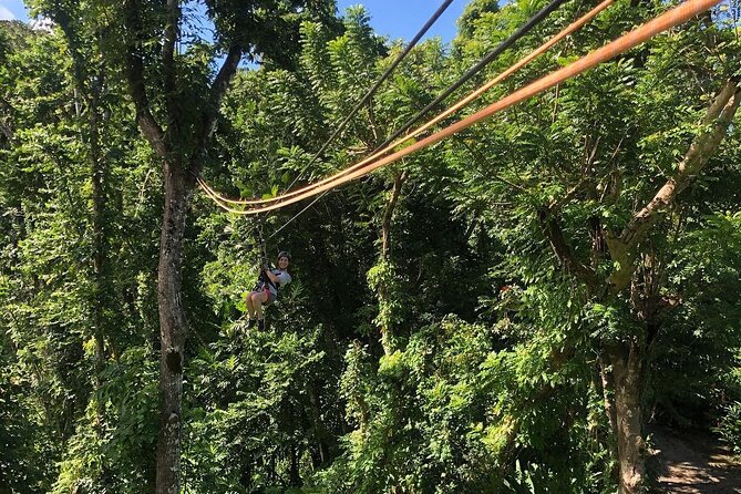 Zipline Experience With Transportation From San Juan - Key Points