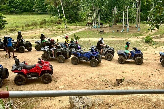 Zipline, Horseback Ride and Swim and Quad ATV bike in Negril - Pricing and Value