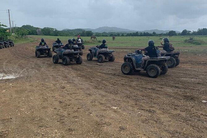 Zipline, Horseback Ride, ATV and Catamaran from Montego Bay - Key Points