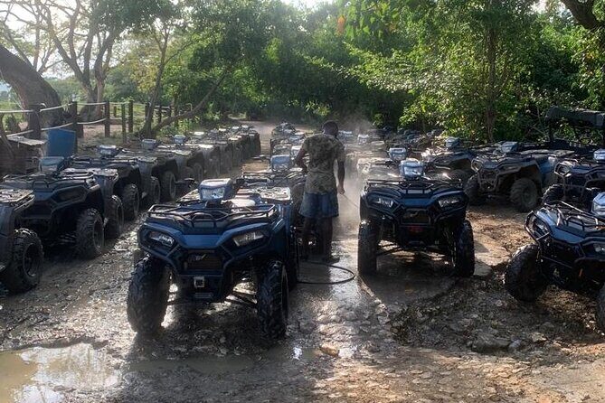 Zipline, Horseback Ride, ATV and Catamaran from Montego Bay - Authentic Experiences and the Guides Role