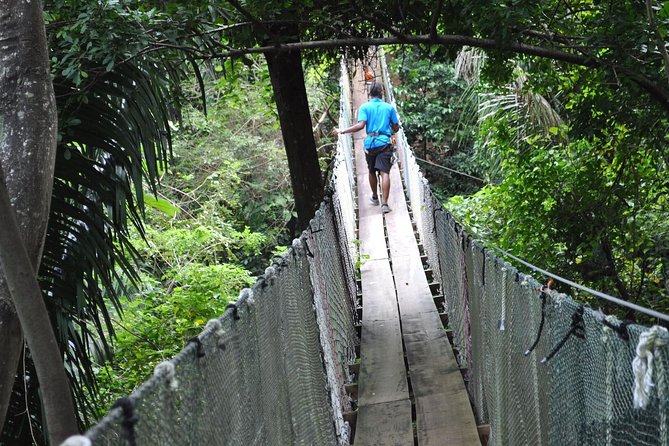 Zipline, Optional Monkeys/Sloths/Macaws Visit & West Bay Beach Resort: Roatan,HN - Booking Your Adventure