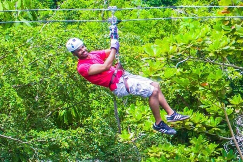 Zipline Over The dunns River Falls - What to Expect from This Experience