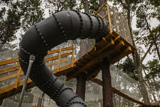 Zipline over the Heysen Trail & Through the Pines of Kuitpo - What to Expect During Your Climb