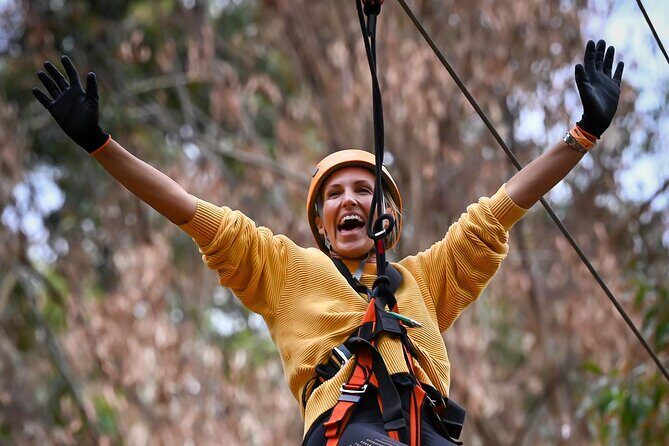 Zipline over the Heysen Trail & Through the Pines of Kuitpo - Who Should Consider This Experience?