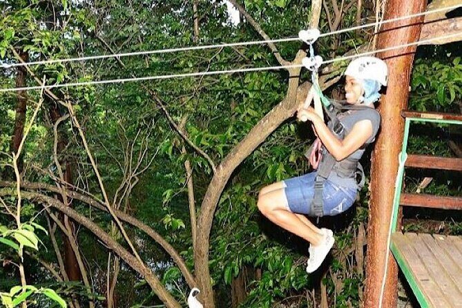 Zipline Thriller Adventure Tour (Private) (Admission Not Included) - Comfortable Transportation