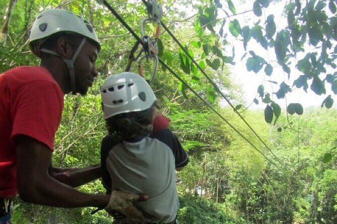 Zipline Thriller Adventure Tour (Private) (Admission Not Included) - Group Size and Cost