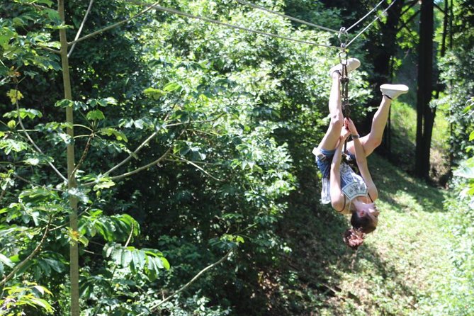Zipline, Wildlife Park & Beach Jam-Packed Excursion - Zipline Adventure