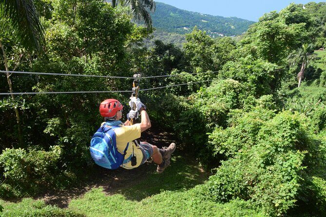 Ziplining at the Rainforest in Puerto Rico - What to Expect from the Ziplining Experience