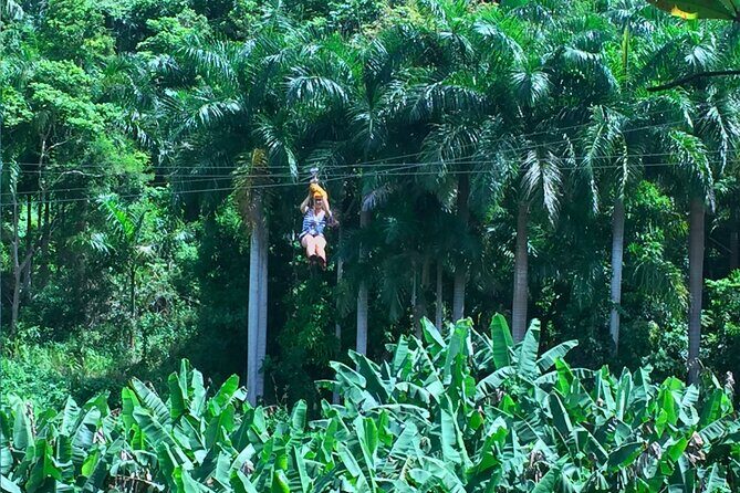 Ziplining at the Rainforest in Puerto Rico - FAQ