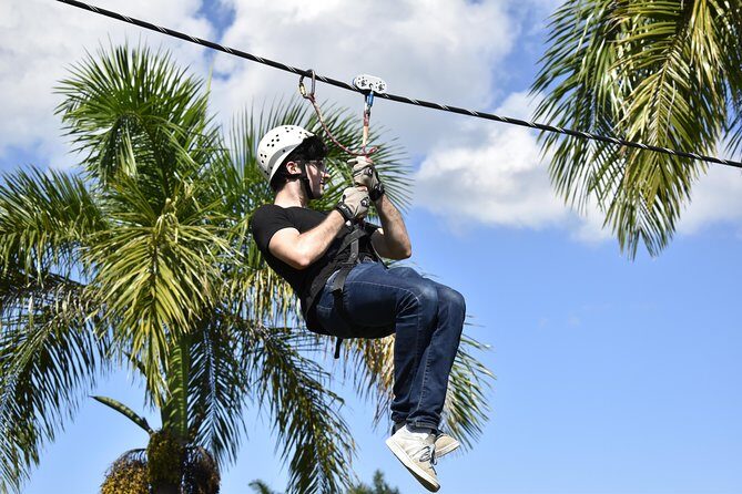 Ziplining from Punta Cana - Unique Carbon Fiber lines in Punta Cana - Meeting Points, Timing, and Practical Details