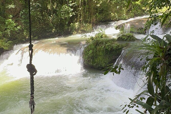 Ziplining in YS Falls and Black River Safari Private Tour - The Value and Overall Impressions