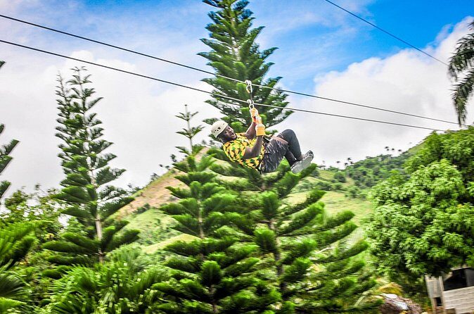 Ziplining in YS Falls and Black River Safari Private Tour - What Travelers Are Saying