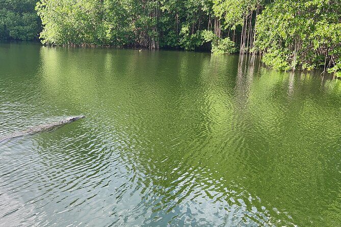 Ziplining in YS Falls and Black River Safari Private Tour - Who Should Consider This Tour?