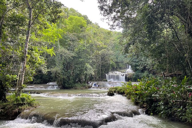 Ziplining in YS Falls and Black River Safari Private Tour - Black River Safari