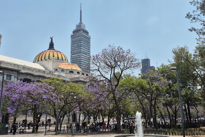 Zócalo Private Tour: Historic Center of Mexico City - Final Thoughts