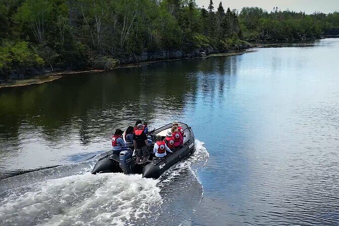 Zodiac Coastal Tour with Naturalist Guide: Lunenburg - Introduction: A Coastal Adventure Off the Beaten Path