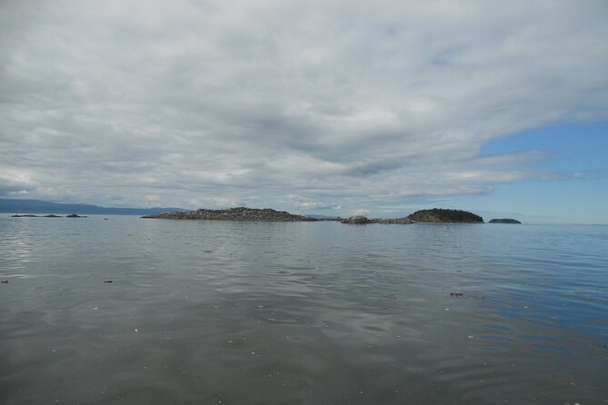 Zodiac Discovery of the Kamouraska Islands - Safety Precautions and Regulations