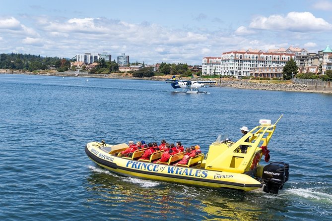 Zodiac Whale Watching Adventure From Victoria - Conservation Efforts and Impact