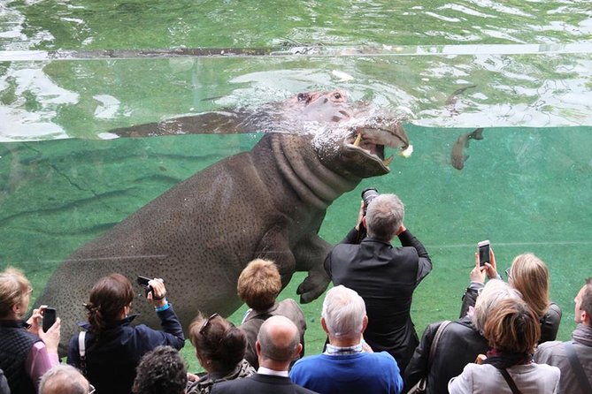 Zoo Of Beauval - Private Trip - Cancellation and Refund Policy