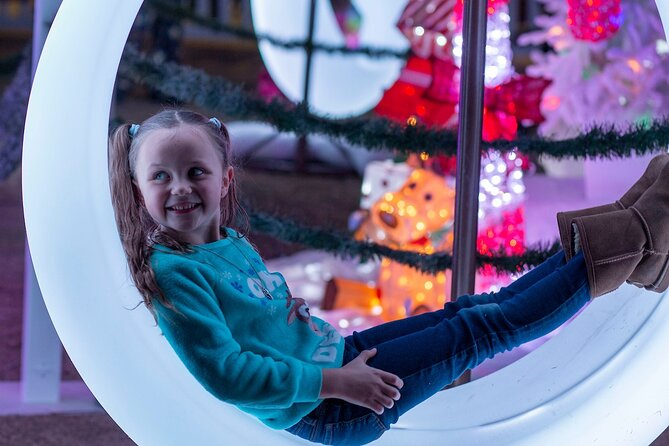 ZooLights Phoenix Zoo - Activities Included