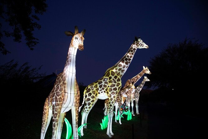 ZooLights Phoenix Zoo - Accessibility Features