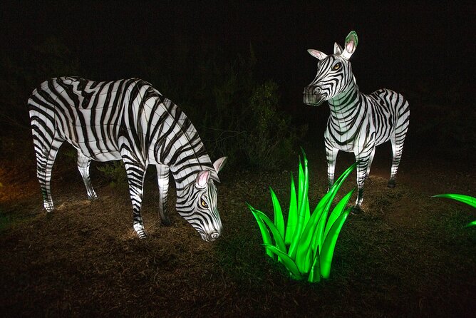 ZooLights Phoenix Zoo - Customer Feedback Highlights