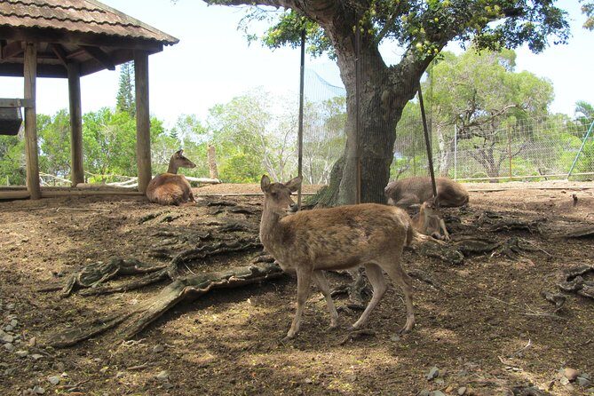 Zoological and Forestry Park Admission Ticket - Frequently Asked Questions