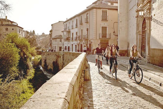 Zooming Through Granada: A Fun-Filled Electric Bike Tour - Safety Precautions