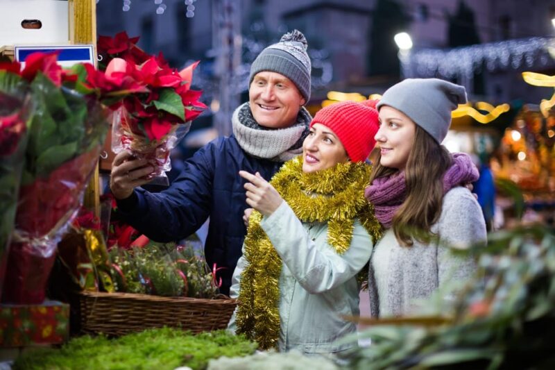Zurich: Enchanted Christmas - A Festive Journey Walking Tour - Key Points