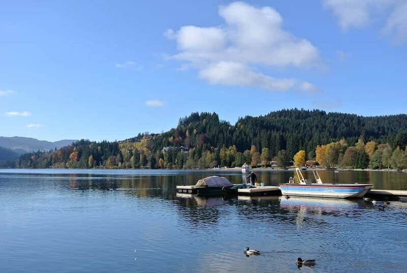 Zürich/Lucerne: Rhine Falls, Titisee & Black Forest Day Trip - Key Points