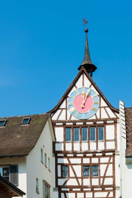 Zürich/Lucerne: Rhine Falls, Titisee & Black Forest Day Trip - Final Thoughts: Who Will Love This Tour?