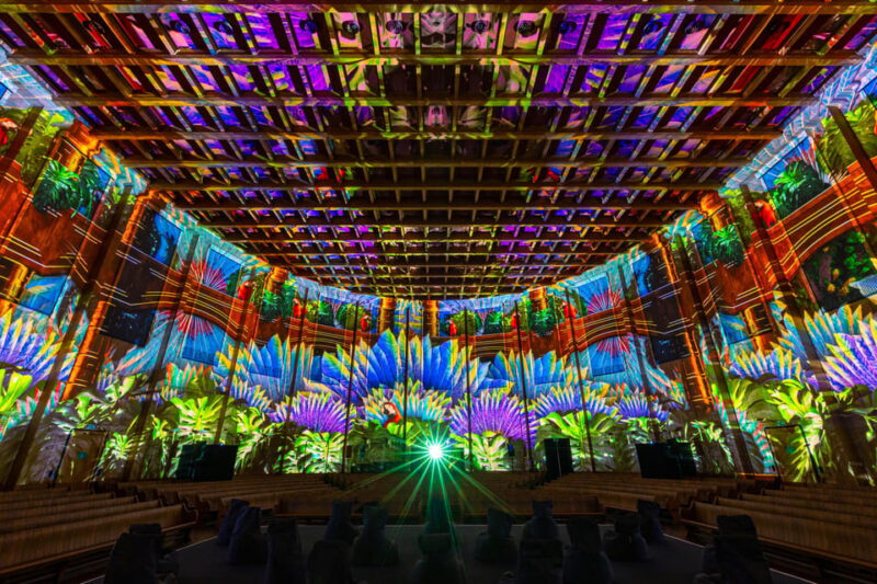 Zurich: Pixel Zoo Jungle - an Immersive Journey Through the Rainforests - Discovering the Pixel Zoo Jungle