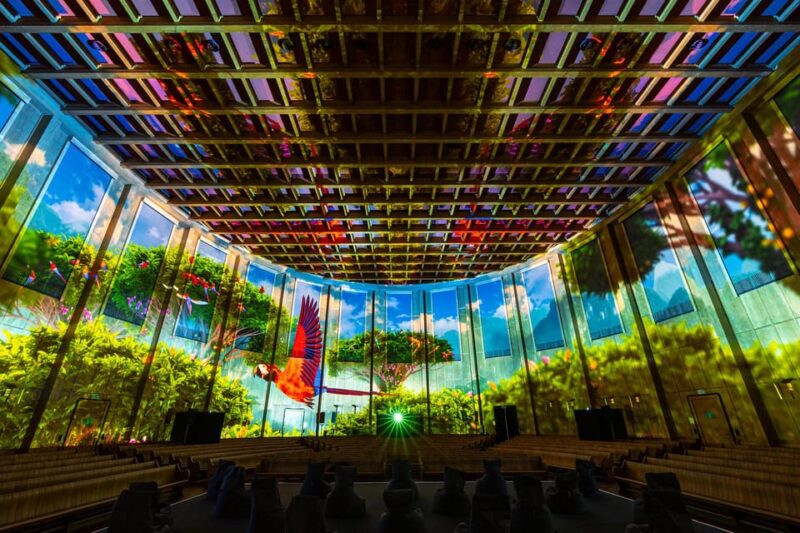 Zurich: Pixel Zoo Jungle - an Immersive Journey Through the Rainforests - Taking in the Rainforest Soundscape