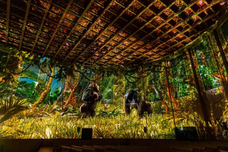 Zurich: Pixel Zoo Jungle - an Immersive Journey Through the Rainforests - Interacting With the Jungle Creatures