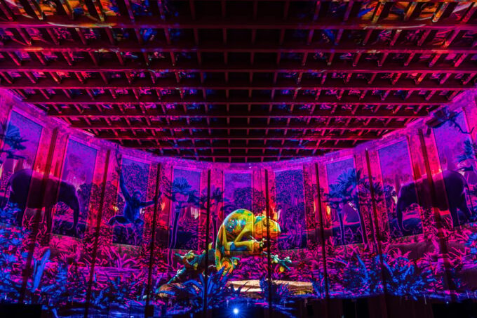 Zurich: Pixel Zoo Jungle - an Immersive Journey Through the Rainforests - Ask Away