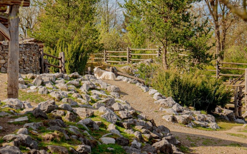 Zurich: Private Visiting and Photoshoot at Zoo Zurich! - Inclusions and Benefits