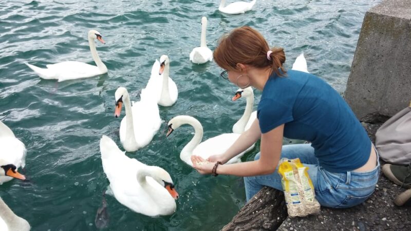 Zurich: Private Walking Tour With a Tour Guide - Ask Away