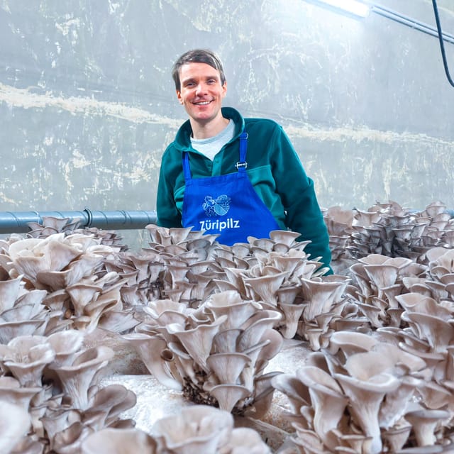 Zurich's Best-Kept Secret: the Hidden World of Mushrooms! - Sustainable Mushroom Cultivation