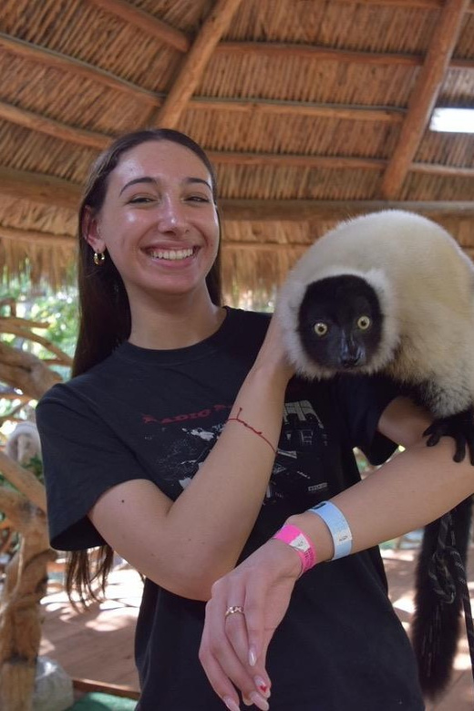 ZWF Miami: ZWFS Wildlife Presentation - 2 Hour Tour - Key Points